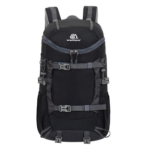Discover the Ultimate Hiking Companion